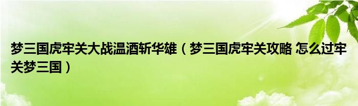 梦三国虎牢关大战温酒斩华雄（梦三国虎牢关攻略 怎么过牢关梦三国）