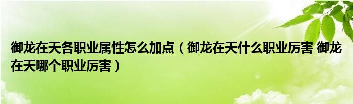 御龙在天各职业属性怎么加点（御龙在天什么职业厉害 御龙在天哪个职业厉害）