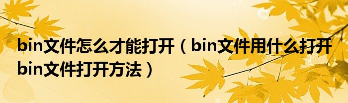 bin文件怎么才能打开（bin文件用什么打开 bin文件打开方法）
