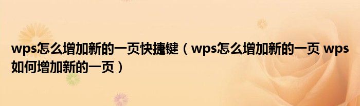 wps怎么增加新的一页快捷键（wps怎么增加新的一页 wps如何增加新的一页）