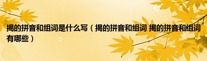 揭的拼音和组词是什么写（揭的拼音和组词 揭的拼音和组词有哪些）