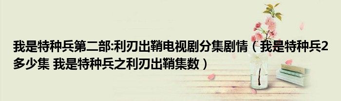 我是特种兵第二部:利刃出鞘电视剧分集剧情（我是特种兵2多少集 我是特种兵之利刃出鞘集数）