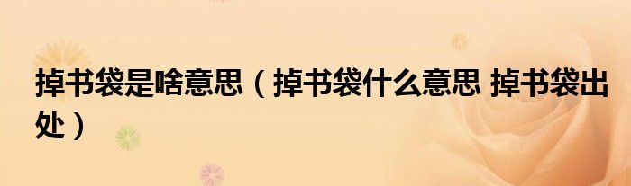 掉书袋是啥意思（掉书袋什么意思 掉书袋出处）