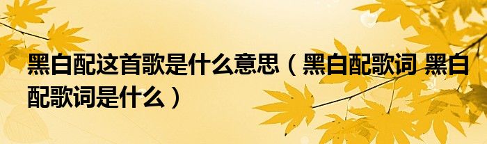 黑白配这首歌是什么意思（黑白配歌词 黑白配歌词是什么）