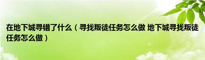 在地下城寻错了什么（寻找叛徒任务怎么做 地下城寻找叛徒任务怎么做）