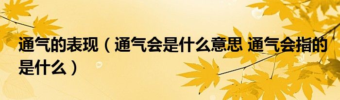 通气的表现（通气会是什么意思 通气会指的是什么）