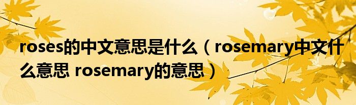 roses的中文意思是什么（rosemary中文什么意思 rosemary的意思）
