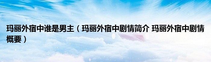 玛丽外宿中谁是男主（玛丽外宿中剧情简介 玛丽外宿中剧情概要）