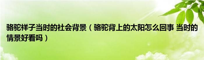 骆驼祥子当时的社会背景（骆驼背上的太阳怎么回事 当时的情景好看吗）