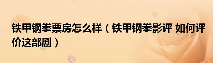 铁甲钢拳票房怎么样（铁甲钢拳影评 如何评价这部剧）