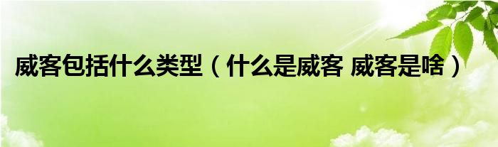 威客包括什么类型（什么是威客 威客是啥）