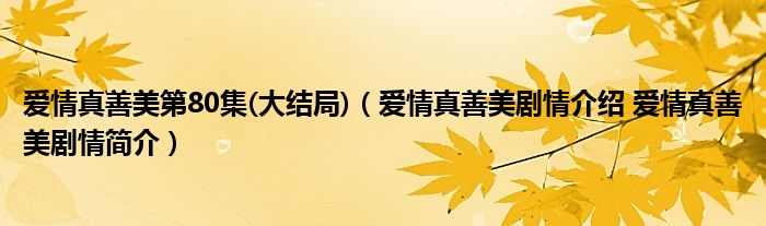 爱情真善美第80集(大结局)（爱情真善美剧情介绍 爱情真善美剧情简介）