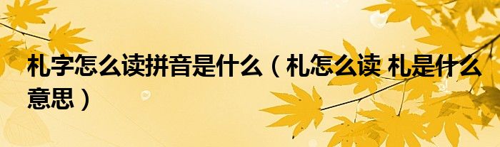 札字怎么读拼音是什么（札怎么读 札是什么意思）