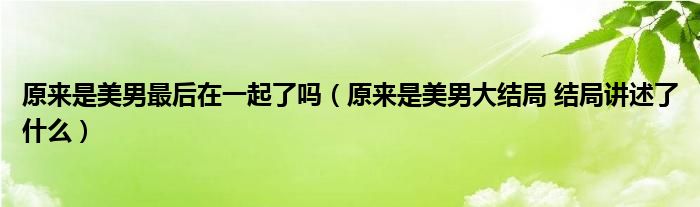 原来是美男最后在一起了吗（原来是美男大结局 结局讲述了什么）