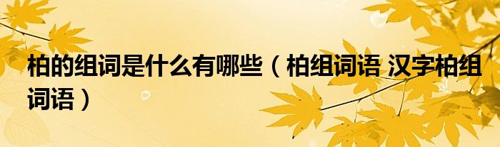 柏的组词是什么有哪些（柏组词语 汉字柏组词语）