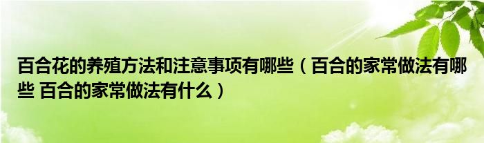 百合花的养殖方法和注意事项有哪些（百合的家常做法有哪些 百合的家常做法有什么）