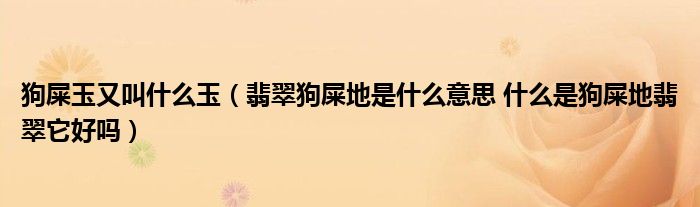狗屎玉又叫什么玉（翡翠狗屎地是什么意思 什么是狗屎地翡翠它好吗）