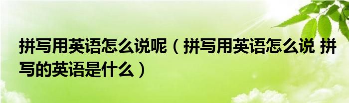 拼写用英语怎么说呢（拼写用英语怎么说 拼写的英语是什么）