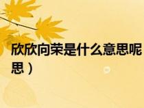 欣欣向荣是什么意思呢(欣欣向荣的解释 欣欣向荣是什么意思) 欣欣向荣是什么意思呢(欣欣向荣的解释 欣欣向荣是什么意思)