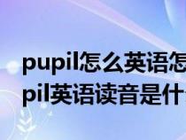 pupil怎么英语怎么读(pupil怎么读英语 pupil英语读音是什么) pupil怎么英语怎么读(pupil怎么读英语 pupil英语读音是什么)