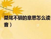 桀骜不驯的意思怎么读（桀骜不驯怎么读 词语桀骜不驯的读音）