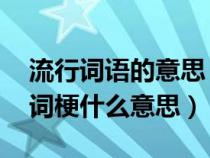流行词语的意思(流行词梗是什么意思 流行词梗什么意思) 流行词语的意思(流行词梗是什么意思 流行词梗什么意思)