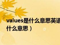 values是什么意思英语（value是什么意思中文 单词value什么意思）