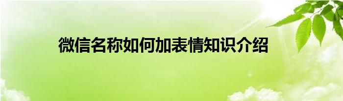 微信名称如何加表情知识介绍