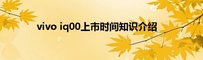 vivo iq00上市时间知识介绍