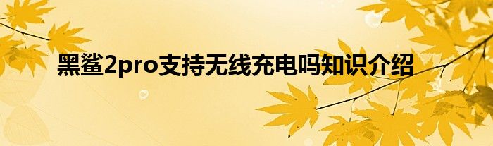 黑鲨2pro支持无线充电吗知识介绍