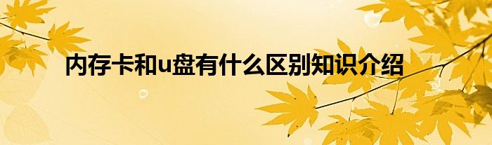 内存卡和u盘有什么区别知识介绍