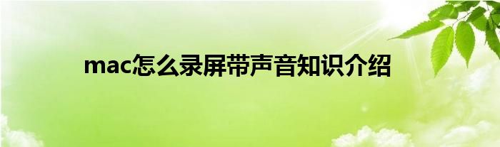 mac怎么录屏带声音知识介绍