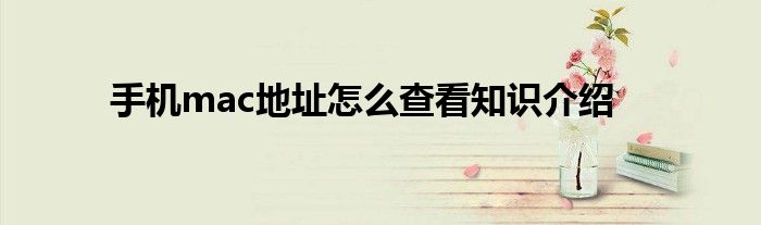 手机mac地址怎么查看知识介绍