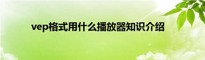 vep格式用什么播放器知识介绍