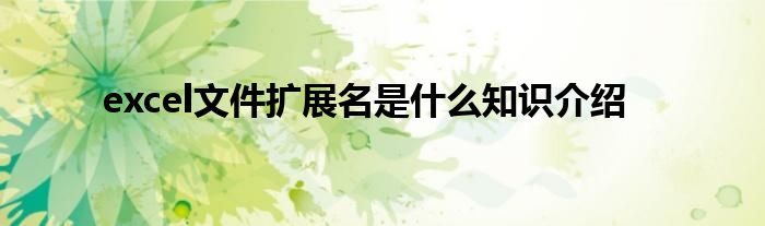 excel文件扩展名是什么知识介绍