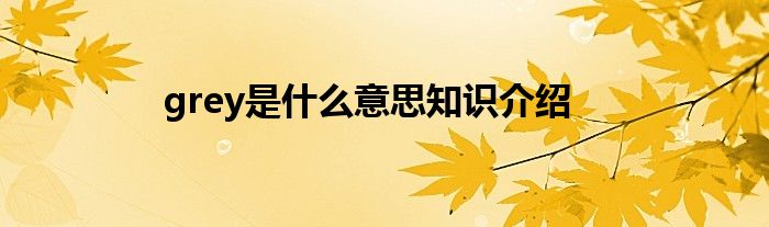 grey是什么意思知识介绍