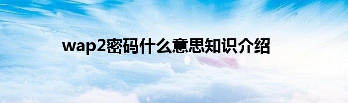 wap2密码什么意思知识介绍
