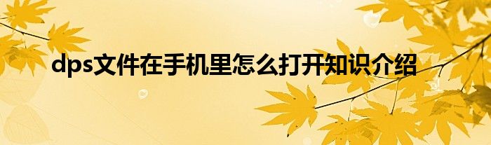dps文件在手机里怎么打开知识介绍