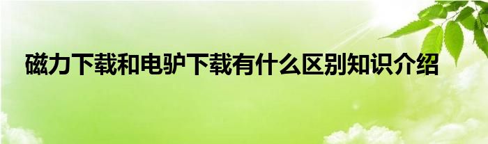 磁力下载和电驴下载有什么区别知识介绍