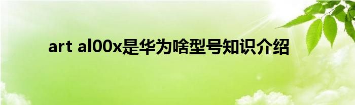 art al00x是华为啥型号知识介绍