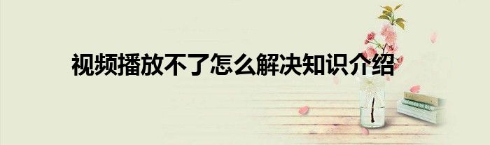 视频播放不了怎么解决知识介绍