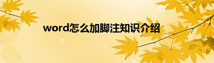word怎么加脚注知识介绍