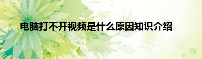 电脑打不开视频是什么原因知识介绍