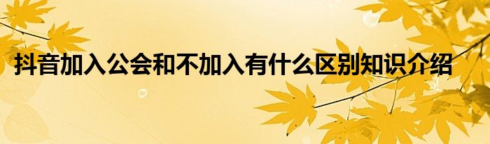 抖音加入公会和不加入有什么区别知识介绍