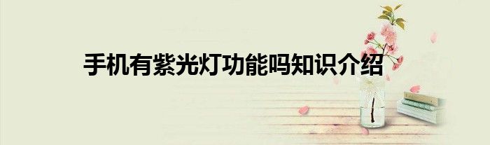 手机有紫光灯功能吗知识介绍