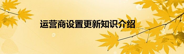 运营商设置更新知识介绍