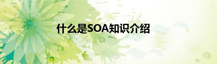 什么是SOA知识介绍