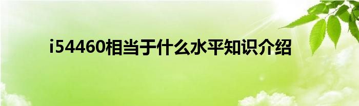 i54460相当于什么水平知识介绍