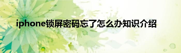 iphone锁屏密码忘了怎么办知识介绍