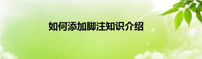 如何添加脚注知识介绍